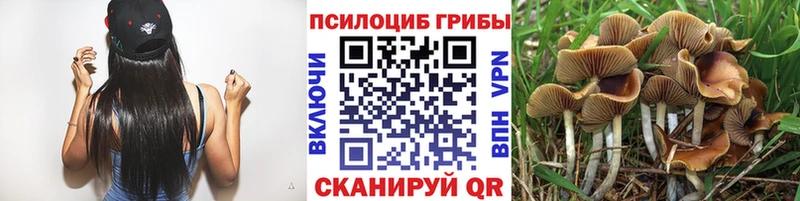 Галлюциногенные грибы Magic Shrooms  Купить закладки  Нижняя Тура 
